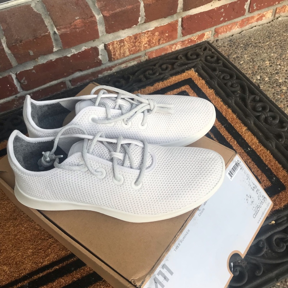 Allbirds Treerunner in Chalk